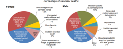 Top 10 causes of death in Nepal (Part II)